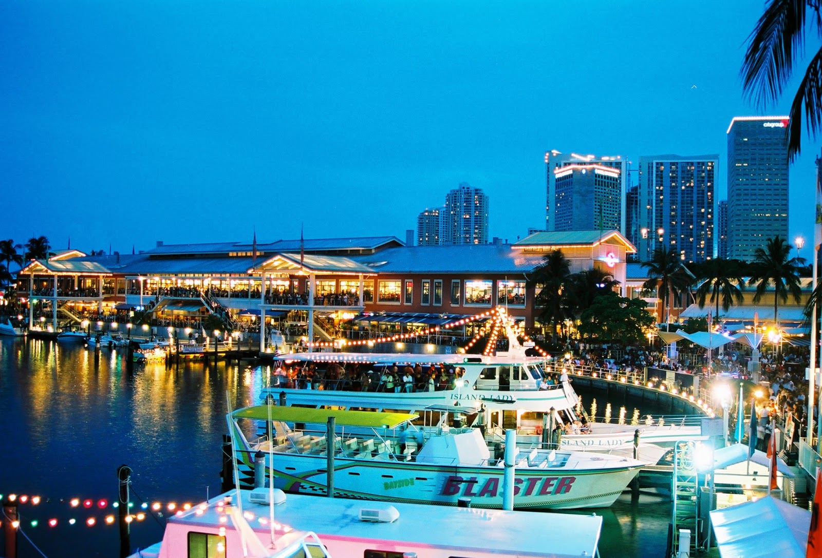 Miami Madness Attractions, Activities, & Things To Do in Miami