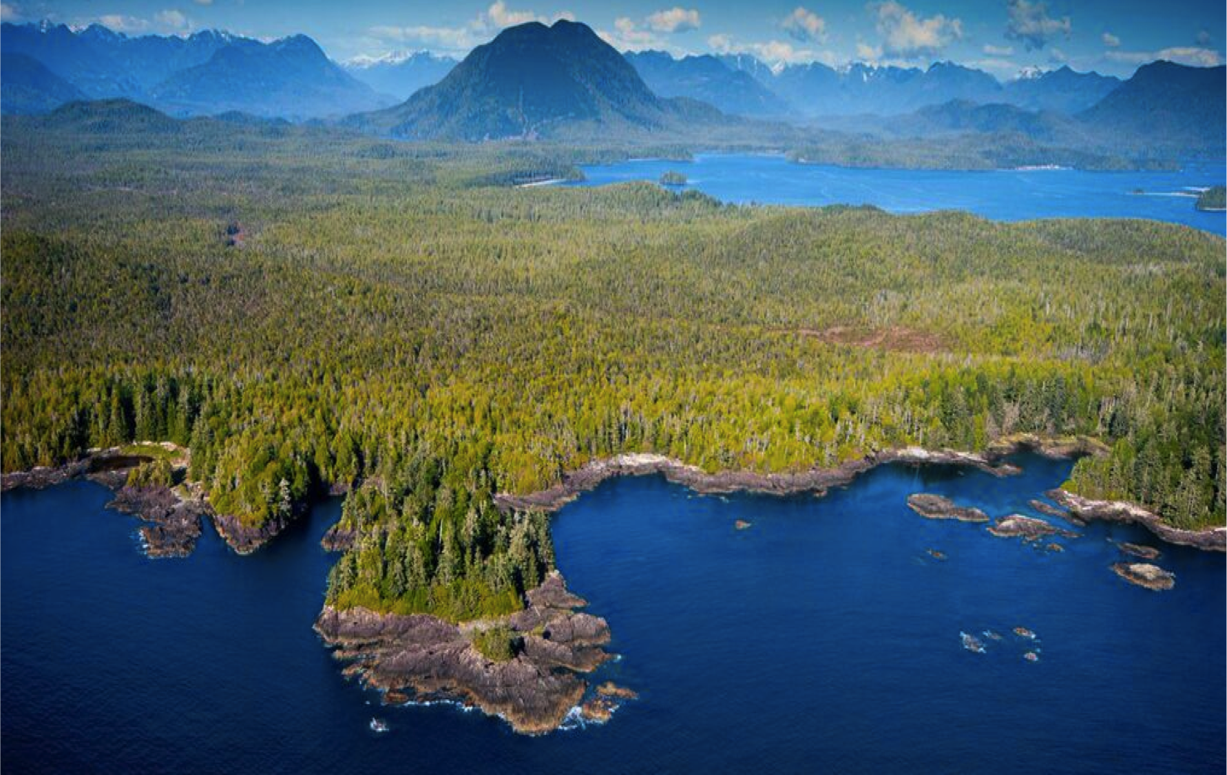 A Report from the Heart of Vancouver Island — The Nature Conservancy in
