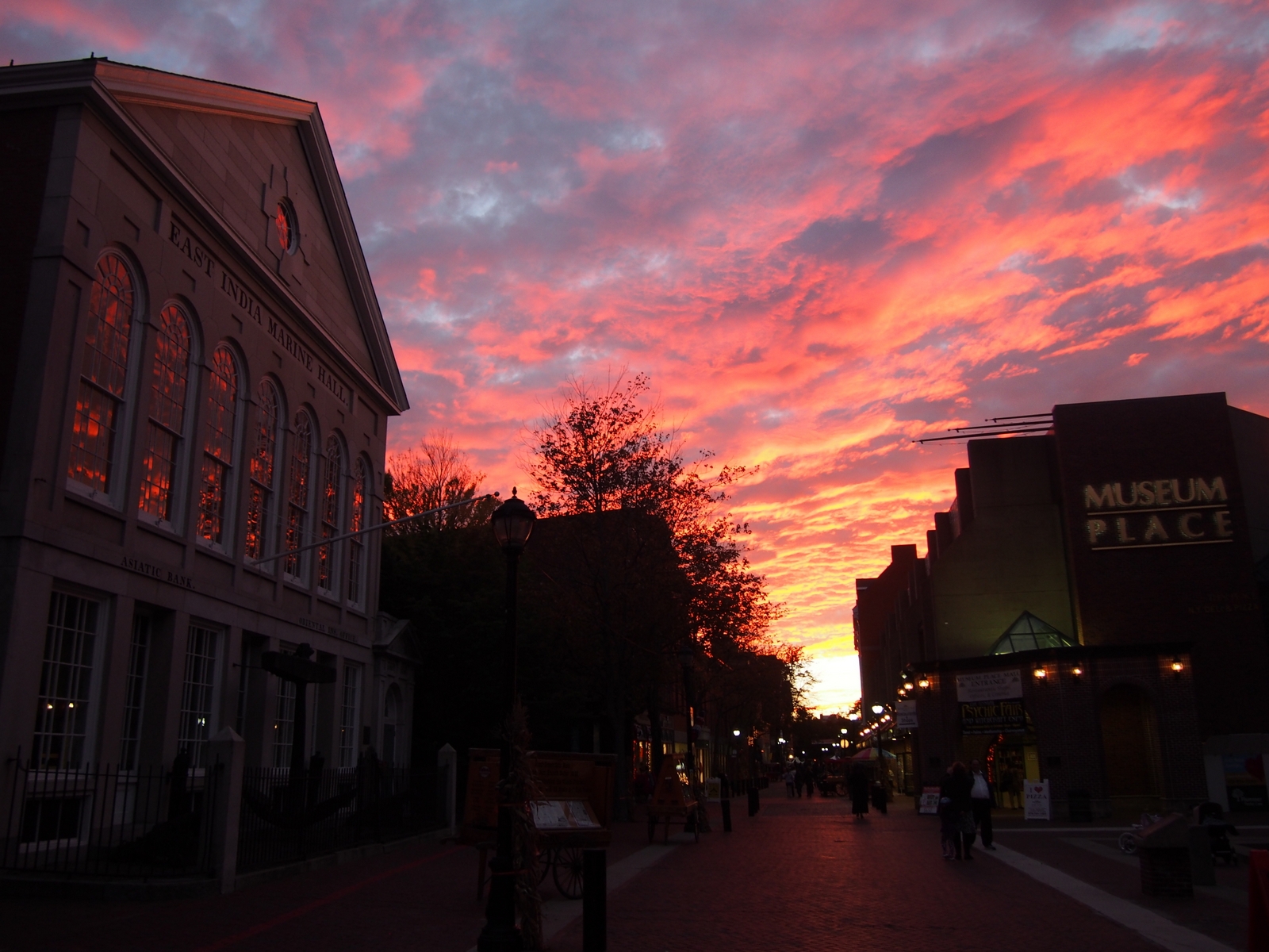 OTIS (Odd Things I've Seen) Salem at Night